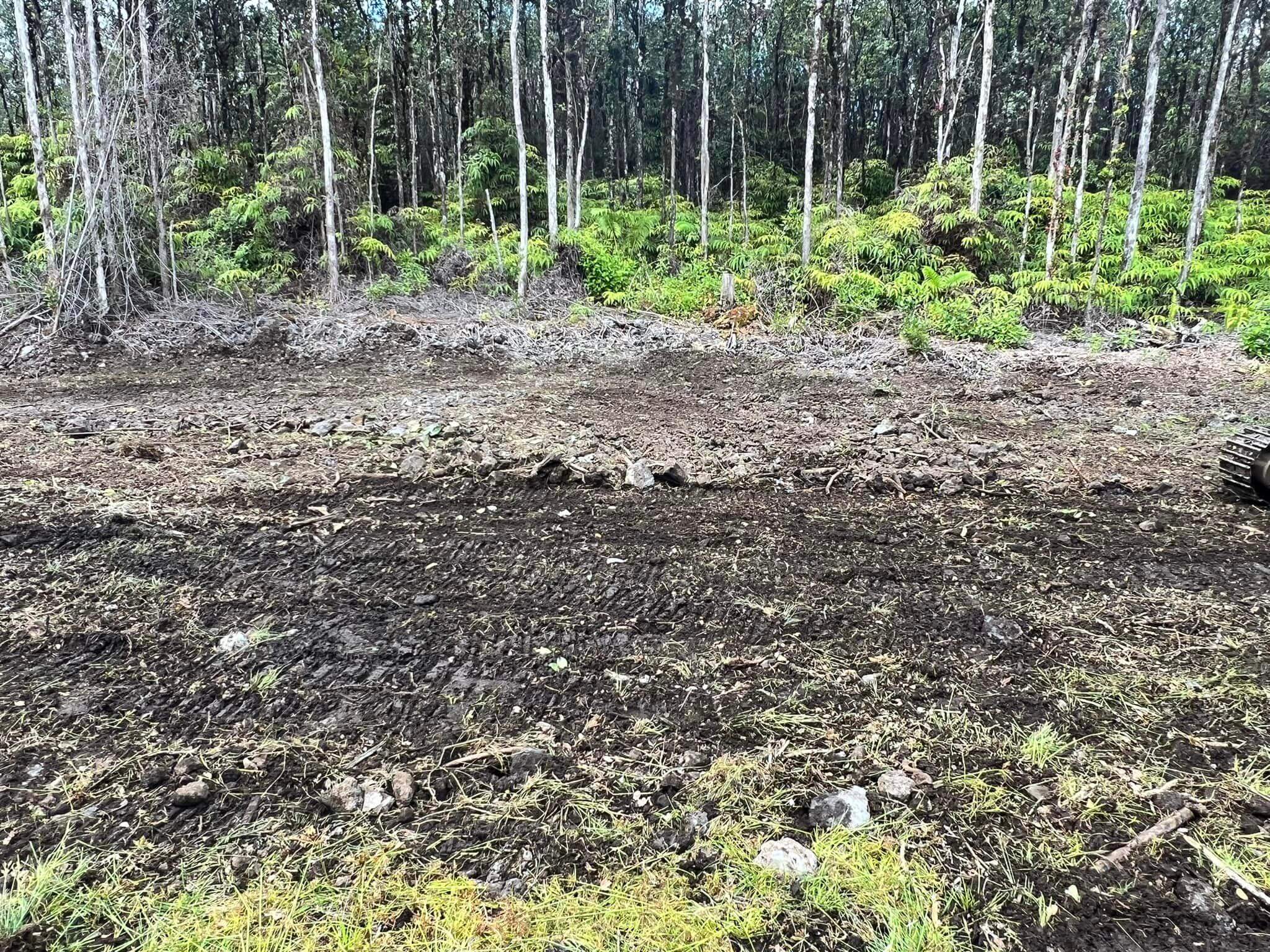 excavation project Hilo HI
